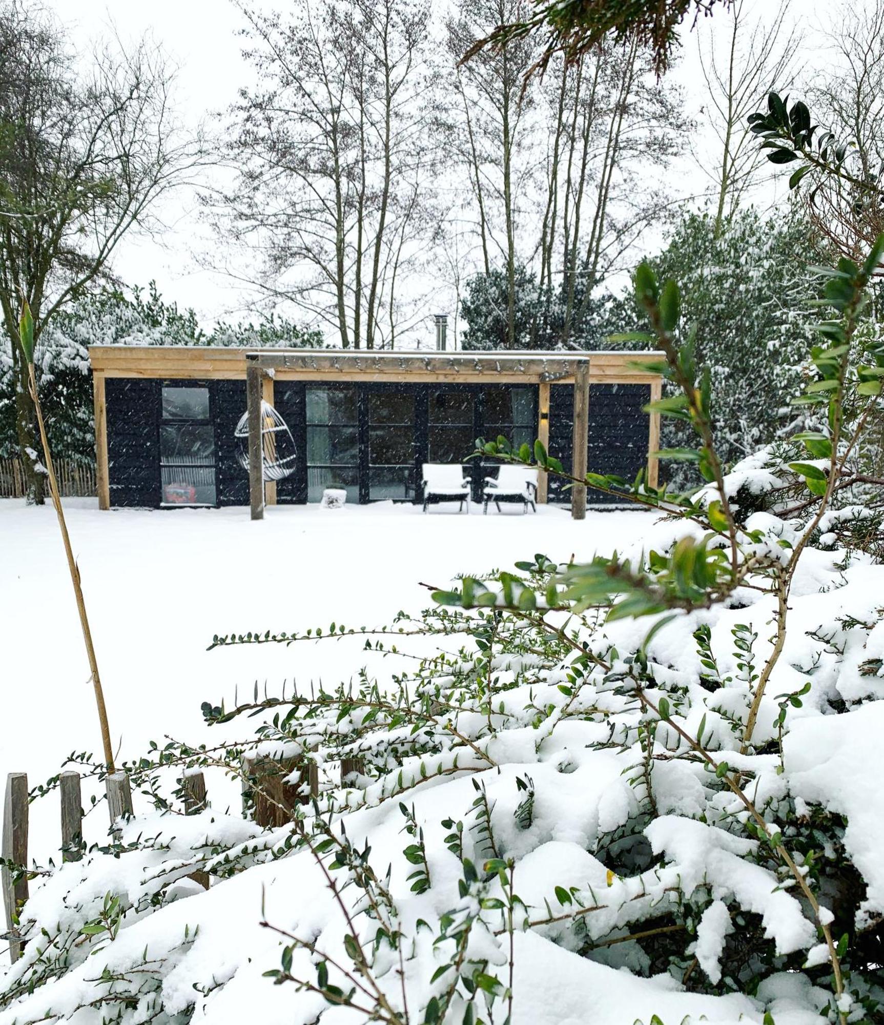 Bed and Breakfast Hoogtij°D Oostvoorne Exteriér fotografie